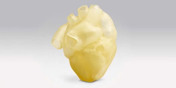 3D Print Anatomical Models