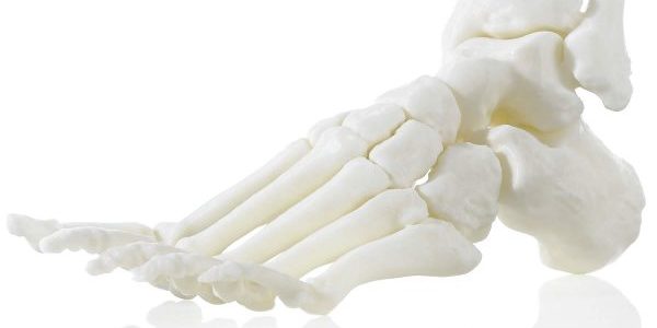 ABS M30i 3D printed foot