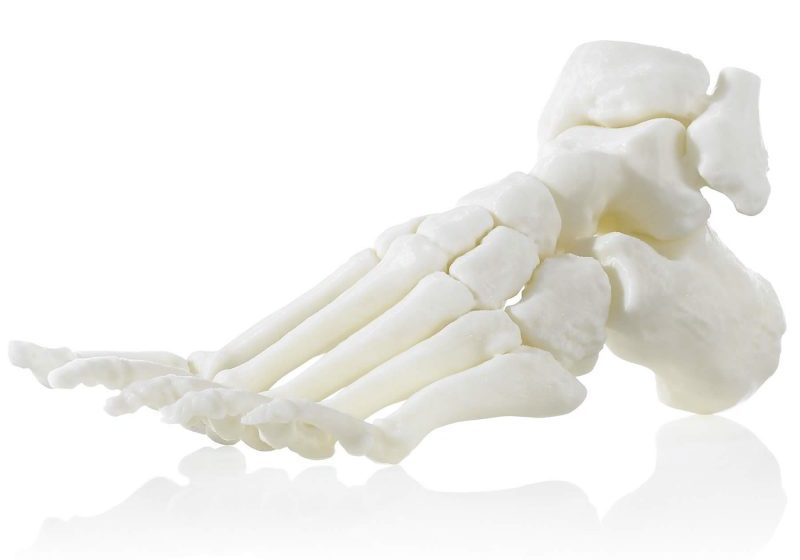 ABS M30i 3D printed foot